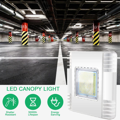 Led Canopy Light