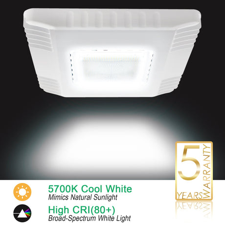 Led Canopy Light